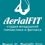Спортивный клуб Aerial fitness, студия воздушной акробатики
