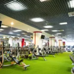 Тренажерный зал - Академический fitness