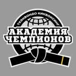 Спортивный клуб - Академия чемпионов