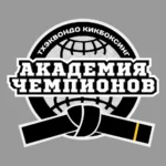 Спортивный клуб - Академия чемпионов