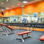 Фитнес-клуб, сеть фитнес-клубов - Alex fitness