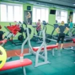 Alva fitness studio