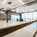 Центр танца - Артишок