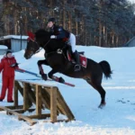 Конно-спортивный клуб - Ашмарино