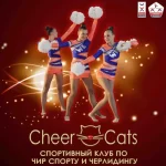 Спортивный клуб - CheerCats