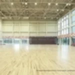 Многофункциональный спортивный комплекс - Чкалов арена