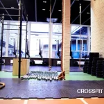 Спортивный клуб - Crossfit flash