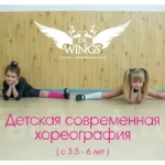 Танцевальный центр, танцевальный центр и детский развивающий центр - Da Wings