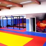 Детский спортивный зал восточных единоборств
