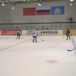 Физкультурно-оздоровительный комплекс им Ю. М. Борзаковского. Физкультурно-оздоровительный комплекс им. Ю.М. Борзаковского