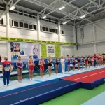 Физкультурно-спортивный комплекс муниципальное образование Аннинское городское поселение. ФСК