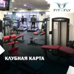 Студия йоги - Fly2fly Studio