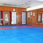 Школа каратэ киокушинкай - Garyu dojo. Garyu doje