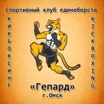 Спортивный клуб единоборств - Гепард