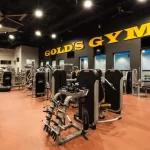 Сеть фитнес-клубов - Gold`s Gym