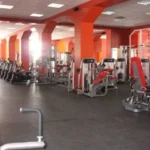 Фитнес-клуб - Gold`s gym