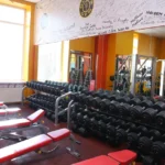 Фитнес-клуб - Gold`s gym