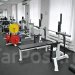 Gorilla Gym