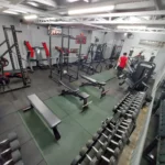 Gorilla Gym