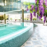 Фитнес-клуб - Grand wellness fitness. Grand Wellness Novahovo