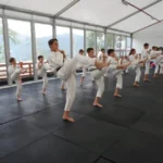 Спортивный клуб - Hajime Dojo. Райз Стар