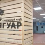 Спортивный клуб - Ягуар ДМ