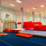 Современный гимнастический спортивный клуб - IGym. International Gym