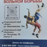 Спортивный комплекс, спортивный клуб по вольной борьбе - Калинка. СШОР по гимнастическим видам спорта. Спортивный клуб