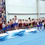 Спортивный комплекс, спортивный клуб по вольной борьбе - Калинка. СШОР по гимнастическим видам спорта. Спортивный клуб