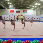 Спортивный комплекс, спортивный клуб по вольной борьбе - Калинка. СШОР по гимнастическим видам спорта. Спортивный клуб