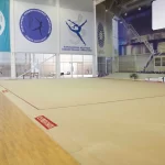 Спортивный комплекс, спортивный клуб по вольной борьбе - Калинка. СШОР по гимнастическим видам спорта. Спортивный клуб