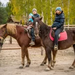 Конно-спортивный клуб - Конное подворье