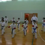 Спортивный клуб карате киокусинкай - Кумитэ