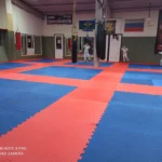 Спортивный комплекс - Лесник