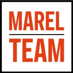 Фитнес-клуб - Marel_team