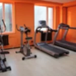 Фитнес-клуб - Maximal gym