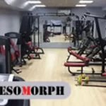Спортивный клуб - Mesomorph