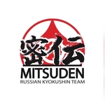 Спортивный клуб Мицудэн