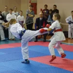 Спортивный центр, тренажерный зал - НСО спортивная школа каратэ. Сфера. НСО СШ по каратэ