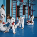 Спортивный центр, тренажерный зал - НСО спортивная школа каратэ. Сфера. НСО СШ по каратэ