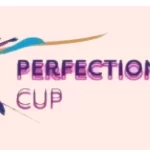 Спортивный комплекс - Perfection Cup