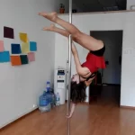 _Poledancehouse_