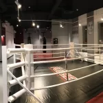 Pulse Moscow boxing studio