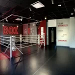 Pulse Moscow boxing studio