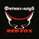 Фитнес-клуб - Red Fox