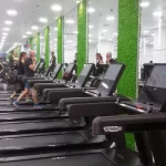 Royal wellness club