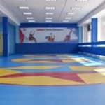 Sambo fitness