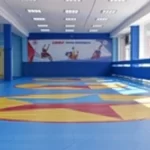 Спортивный клуб - Школа борьбы самбо