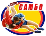 Спортивный клуб Школа борьбы самбо