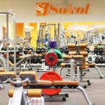 Спортивно-оздоровительный комплекс - Сокол